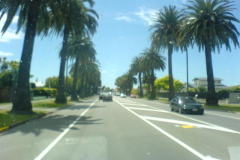 Napier