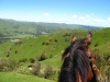 horse riding 057